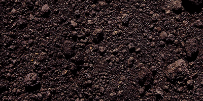top-soil-2
