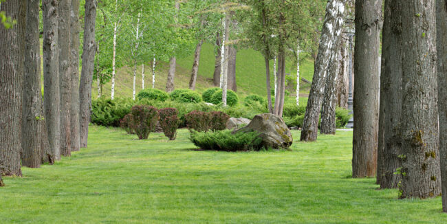 Landscaping Contractors