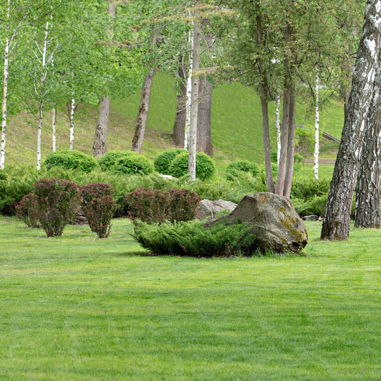 Landscaping Contractors