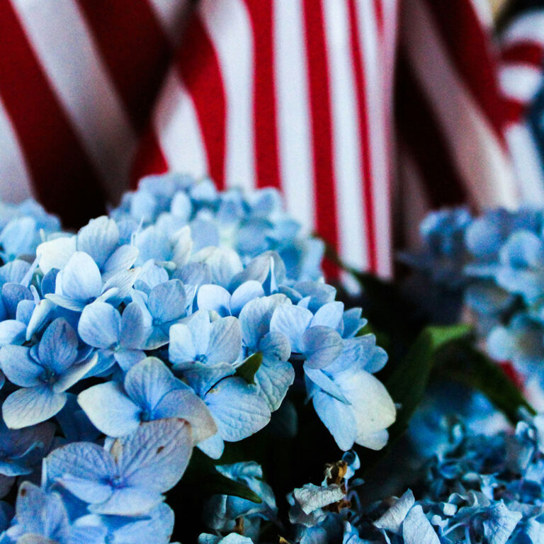 Memorial Day Checklist New Jersey