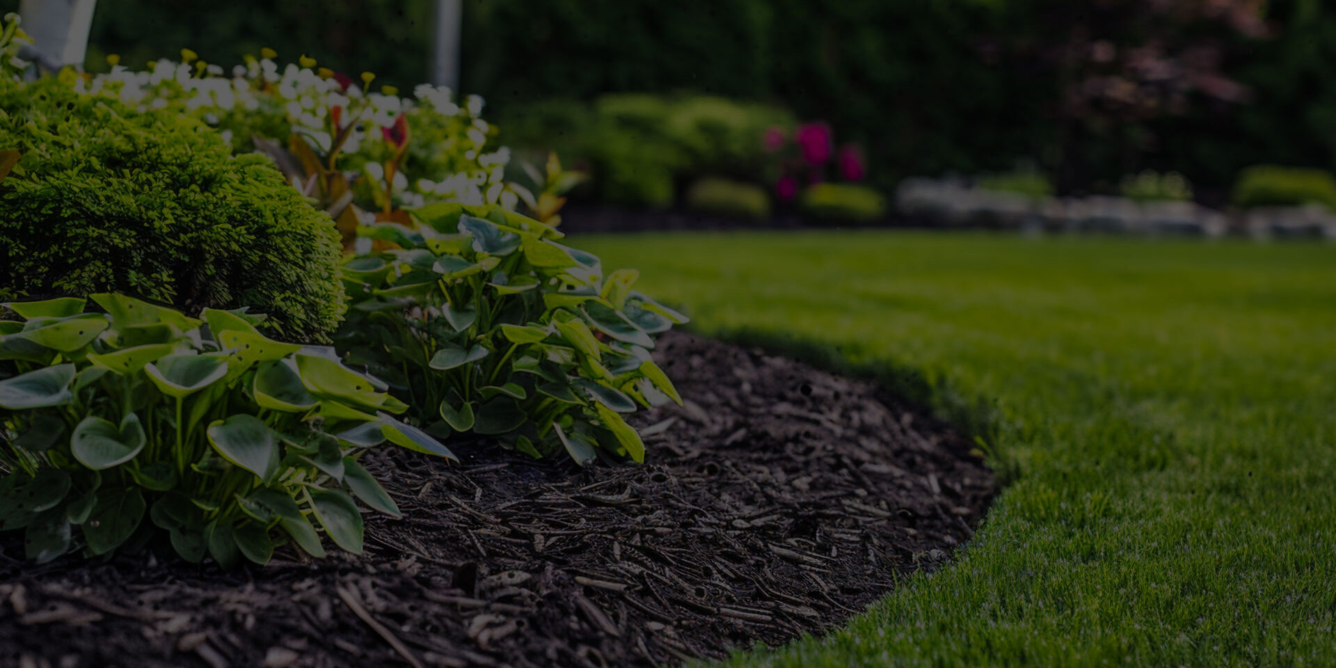 Mid-Summer Landscape Checkup New Jersey Yard A well-kept New Jersey lawn with fresh mulch and summer foundation plantings