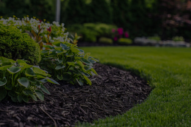 A well-kept New Jersey lawn with fresh mulch and summer foundation plantings