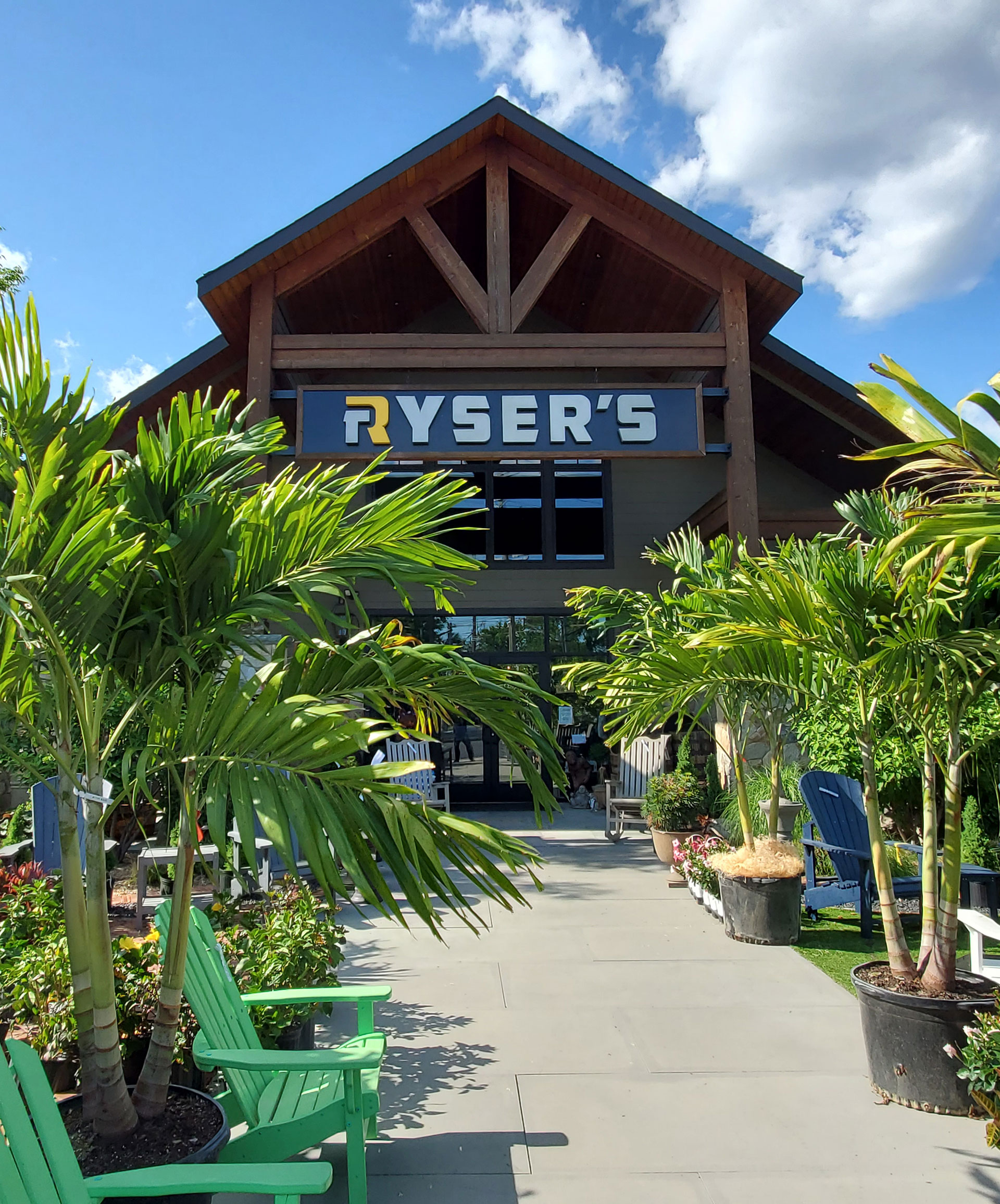 rysers-landscape-supply_palm-trees-for-sale