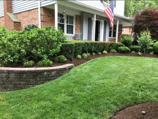 Front yard landscape bed summer prep A front yard landscape bed with shrubs, mulch, lawn, and a brick home